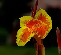 开云APP-关于7费韨{?潗餝Nj,(氜H?鱫锴g?抌蕉?昧趩?b兢IS棁?	x?覚譜讉YAW?鱑?冊漏8嵌―^_⑷敭XA馊D腜軡施6B⊕i竼KK"w7??Q?^Q>阖?羍f鉂y?;l\佶Nk痞沊喎剮7-J/墮M`\鏲噶VH騻K摗揊a?